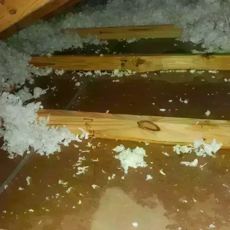 Attic Water Damage in Seymour, IN